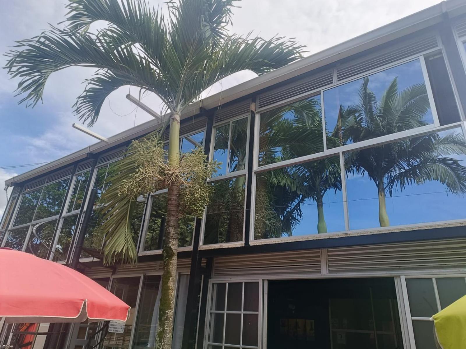 Akuarela Apartamentos Campestres Ibagué Extérieur photo